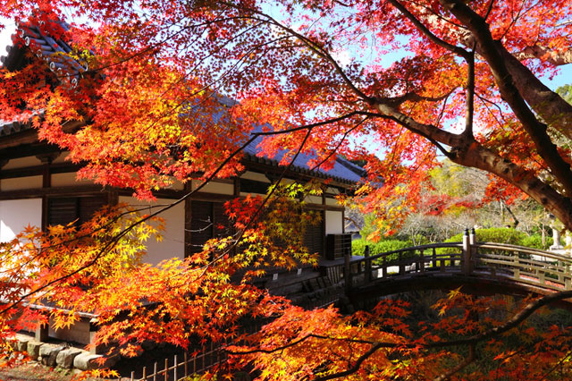 Khung cảnh mùa thu ở chùa Kanshinji