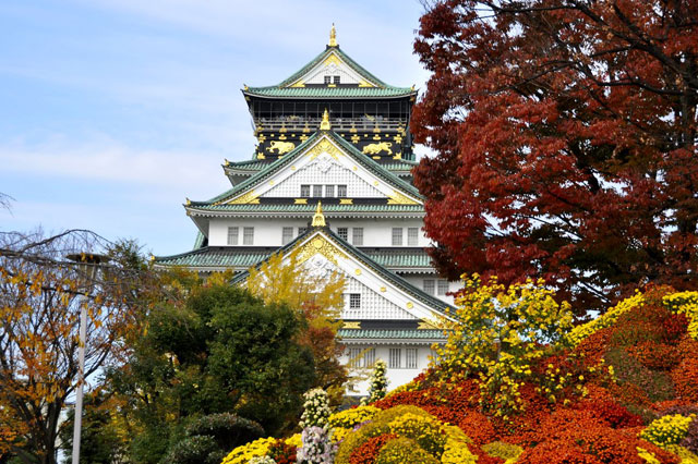 Mùa thu rực rỡ ở lâu đài Osaka