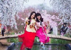 4 đặc trưng cơ bản của nền văn hóa Hàn Quốc