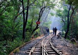 Ghé thăm thành phố Mumbai – “Hollywood của châu Á”