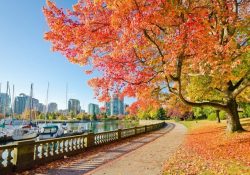 “Lạc” vào công viên lớn nhất Bắc Mỹ ở Vancouver