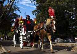 Thú vị dạo công viên Central Park New York bằng xe ngựa