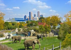 Tìm hiểu thế giới muôn loài tại vườn thú lớn nhất Denver