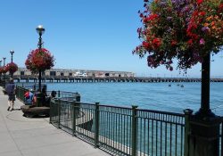 Khám phá Embarcadero – điểm đến thú vị ở San Francisco