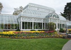 Volunteer Park Conservatory khu vườn thực vật đáng ghé thăm ở Seattle