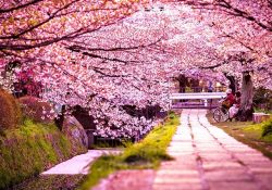 Những địa điểm không thể bỏ qua khi đi Seoul đầu hè