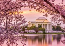 Những lễ hội độc đáo ở Washington