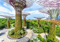 4 địa điểm không thể bỏ lỡ ở Singapore