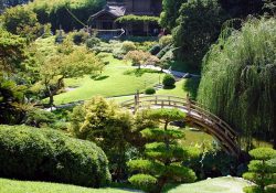 Los Angeles có gì hay mà hút khách đến vậy?