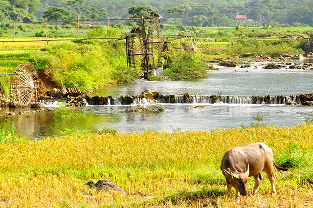 Pù Luông mang nét đẹp bình dị, đơn sơ