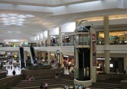 Tổng hợp địa chỉ mua sắm uy tín ở Chicago