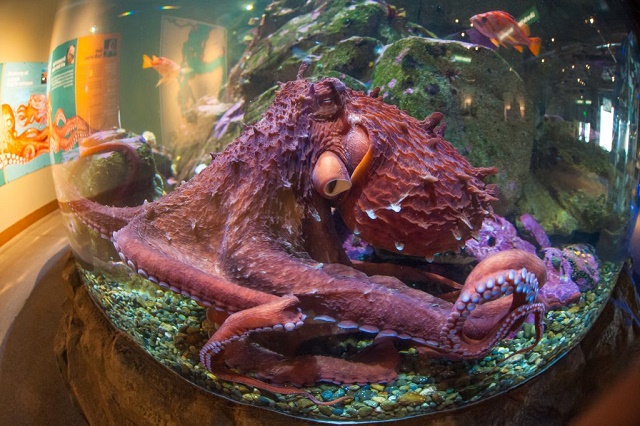 Top 3 địa điểm tham quan nổi tiếng ở Seattle