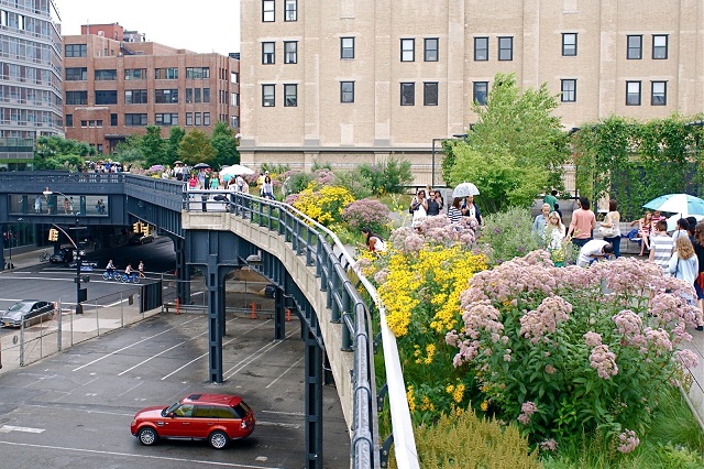 High Line được ví như viên ngọc quý khi sở hữu vô số loài hoa khoe sắc ngay giữa trung tâm thành phố New York
