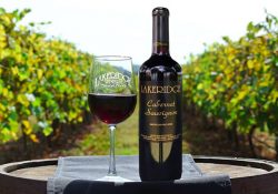 Những vùng đất kỳ bí đầy ma lực của vùng Orlando