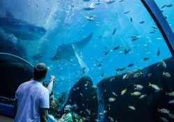Các điểm dừng chân lý tưởng ở Atlanta