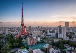 Khám phá 4 điểm du lịch hàng đầu Tokyo