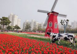 Những lý do nên chọn du lịch Thượng Hải mùa xuân