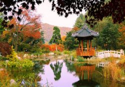 Khám phá khu vườn cổ tích tuyệt đẹp tại Seoul, Hàn Quốc