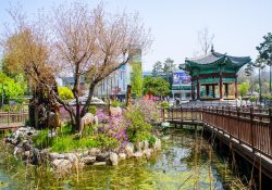 Top 3 công viên sinh thái đẹp nhất ở Seoul