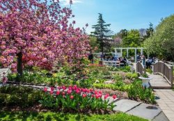 3 trải nghiệm du lịch tuyệt vời ở quận Queen – New York
