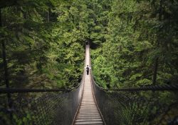 Khám phá và vui chơi tại 3 công viên tốt nhất Vancouver