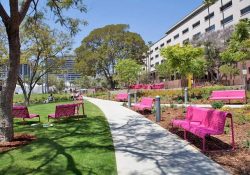 Những điểm dã ngoại mùa hè lý tưởng ở Los Angeles
