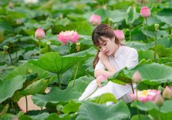 Tháng 5 đi du lịch Hà Nội săn những hoa gì