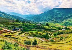 Những trải nghiệm nên làm trong chuyến phượt Sapa tháng 7