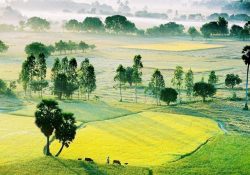 3 tọa độ du lịch đẹp nhất vào mùa nước nổi ở miền Tây