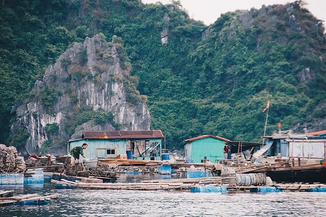 Làng chài Cửa Vạn là một địa điểm đẹp để khám phá ở Hạ Long