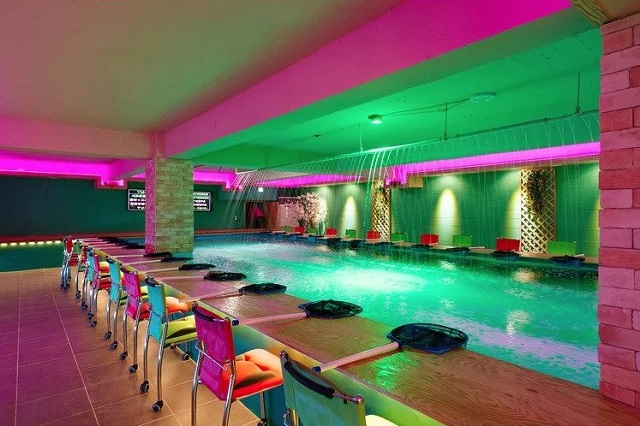 Quán cà phê câu cá là một điểm đến mới mẻ để khám phá tại Seoul