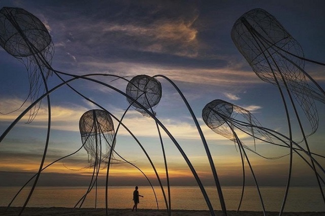 Tại Bãi Trường có nhiều góc sống ảo cực chất